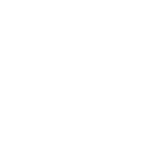 Gracie Logo Gracie College and Travel Journey White with Dragonfly